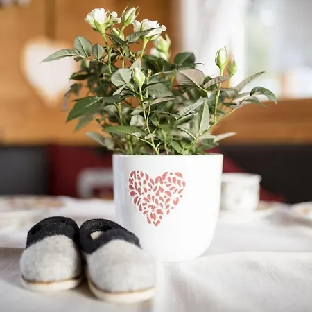 Alpen-chalets Achensee 度假居 Hausern